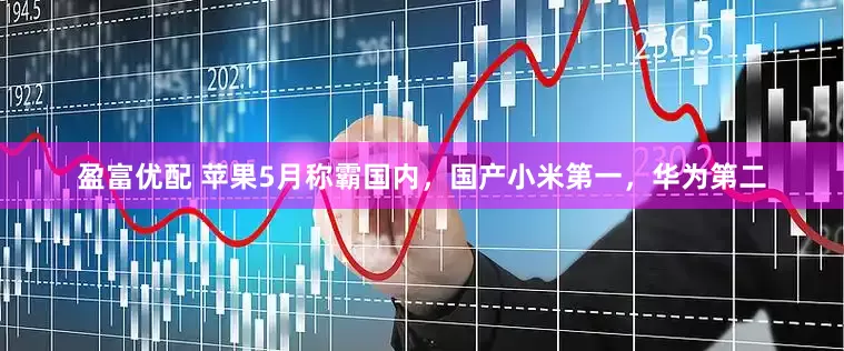 盈富优配 苹果5月称霸国内，国产小米第一，华为第二