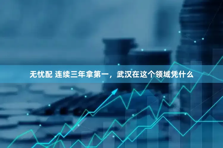 无忧配 连续三年拿第一，武汉在这个领域凭什么