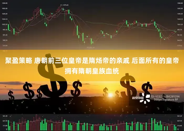 聚盈策略 唐朝前三位皇帝是隋炀帝的亲戚 后面所有的皇帝拥有隋朝皇族血统