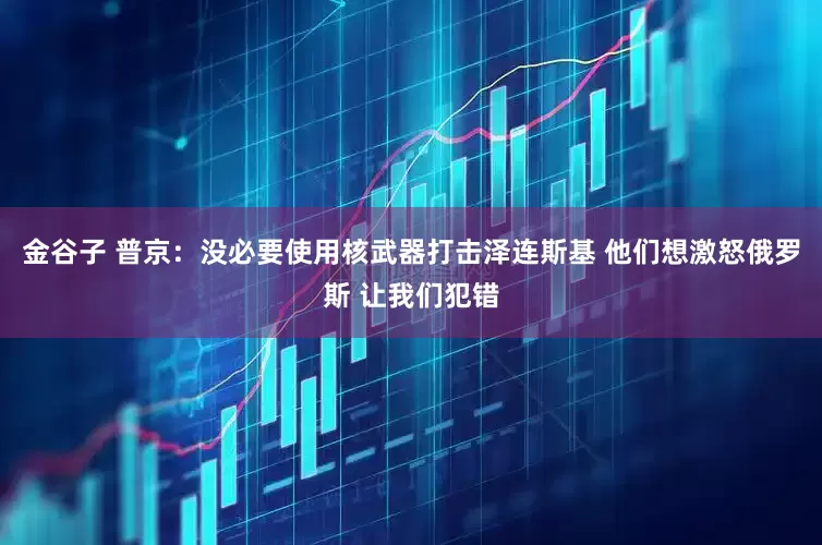 金谷子 普京：没必要使用核武器打击泽连斯基 他们想激怒俄罗斯 让我们犯错