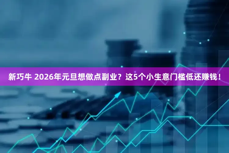 新巧牛 2026年元旦想做点副业？这5个小生意门槛低还赚钱！